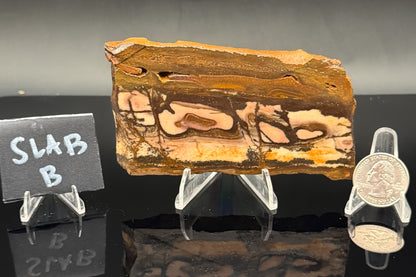 Outback Jasper (Unpolished)