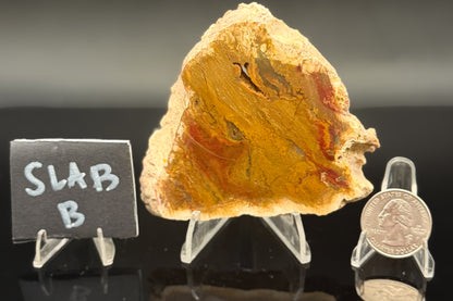 Indonesian Moss Agate (Unpolished)