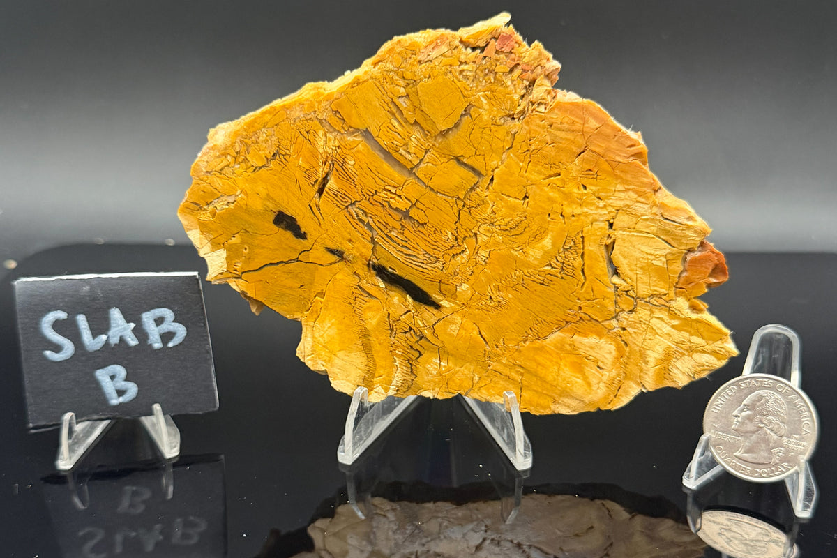 Howardite Jasper