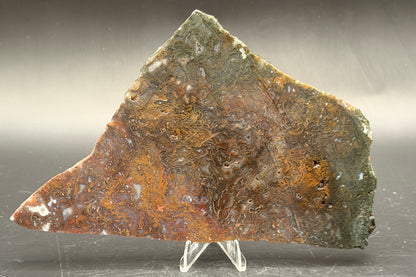 Maury Mountain Moss Agate (Unpolished) Slabs