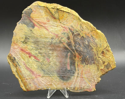 Morrisonite Jasper slab (Unpolished)