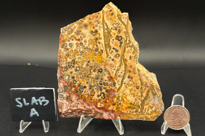 Leopard Skin Rhyolite (Unpolished)