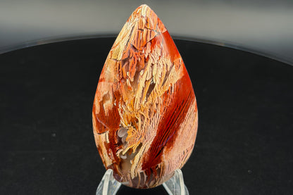 Howardite Jasper