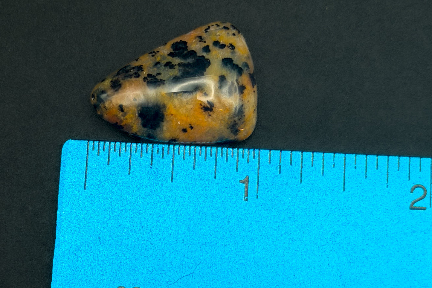 Cheetah Agate