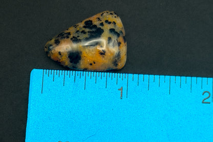 Cheetah Agate