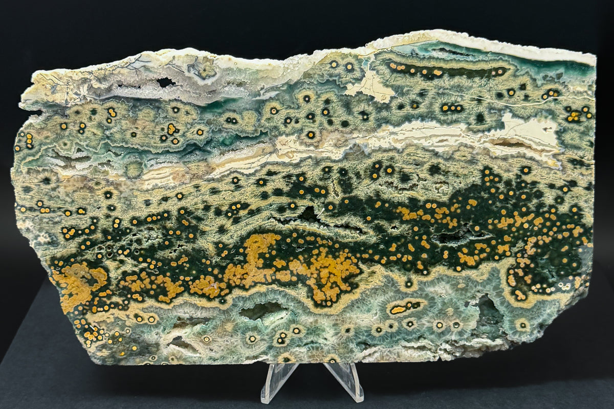 1st Vein Ocean Jasper (Unpolished)