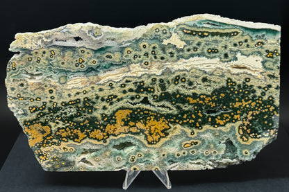 1st Vein Ocean Jasper (Unpolished)