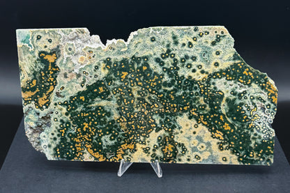 1st Vein Ocean Jasper (Unpolished)