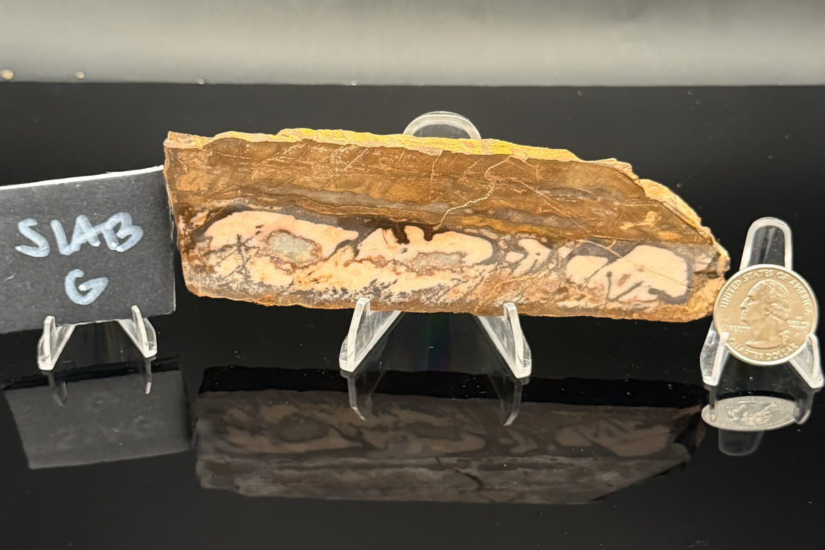 Outback Jasper (Unpolished)