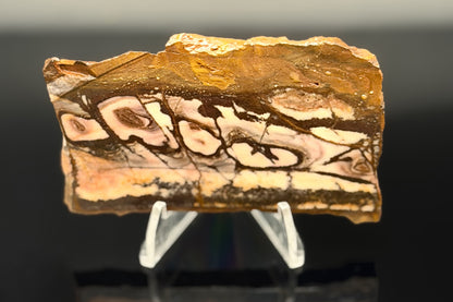 Outback Jasper (Unpolished)
