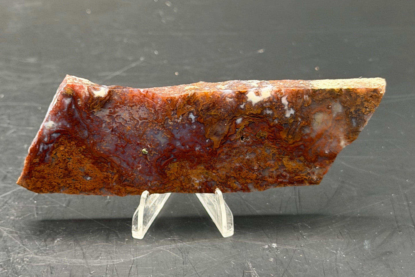 Maury Mountain Moss Agate (Unpolished) Slabs