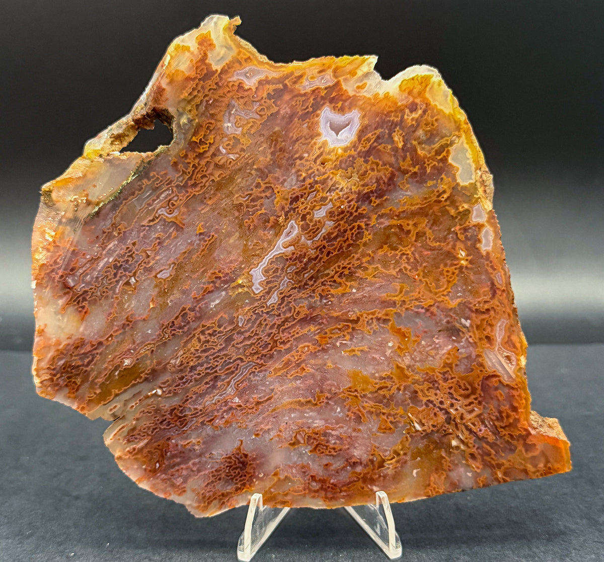 Bull Canyon Tube/Moss Agate (Unpolished)