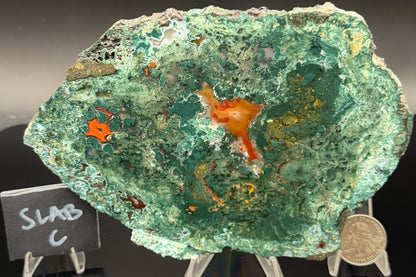 Turkish Limbcast with Agatized Chrysocolla (Unpolished)
