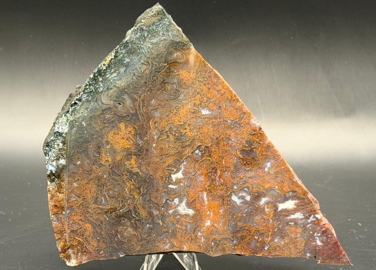 Maury Mountain Moss Agate (Unpolished) Slabs