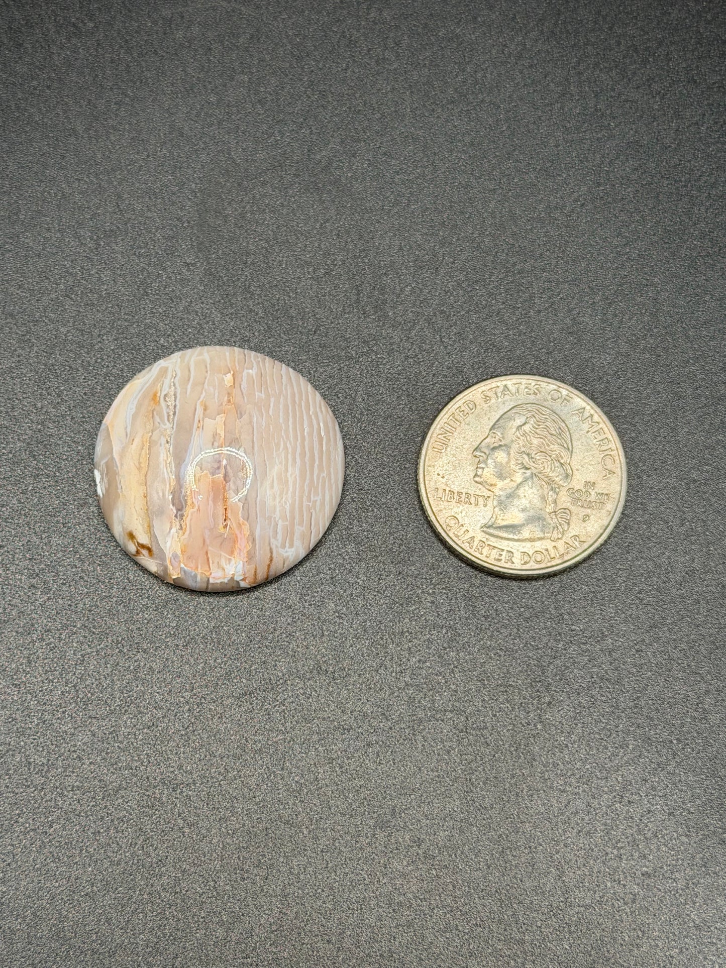 Baskinite Jasper (Dead Camel Region) Cabochon