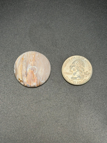 Baskinite Jasper (Dead Camel Region) Cabochon