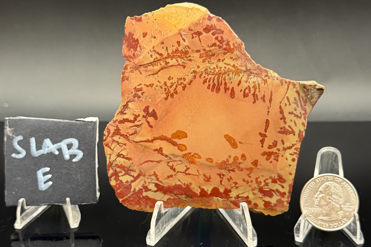 Owyhee Jasper (Unpolished)