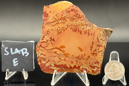 Owyhee Jasper (Unpolished)