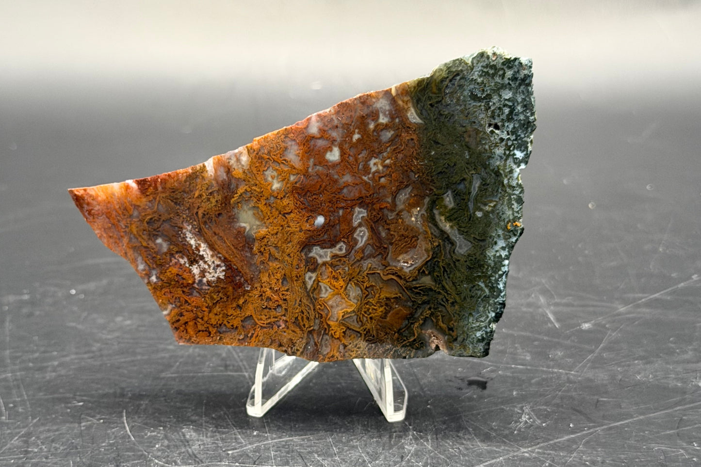 Maury Mountain Moss Agate (Unpolished) Slabs
