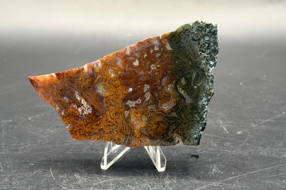 Maury Mountain Moss Agate (Unpolished) Slabs