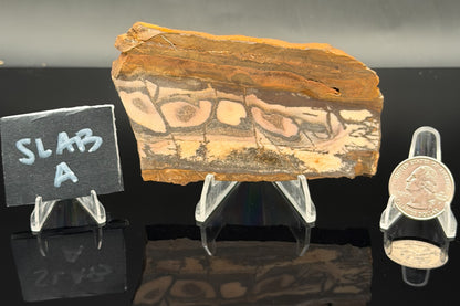 Outback Jasper (Unpolished)