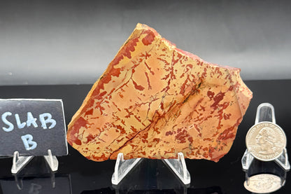 Owyhee Jasper (Unpolished)
