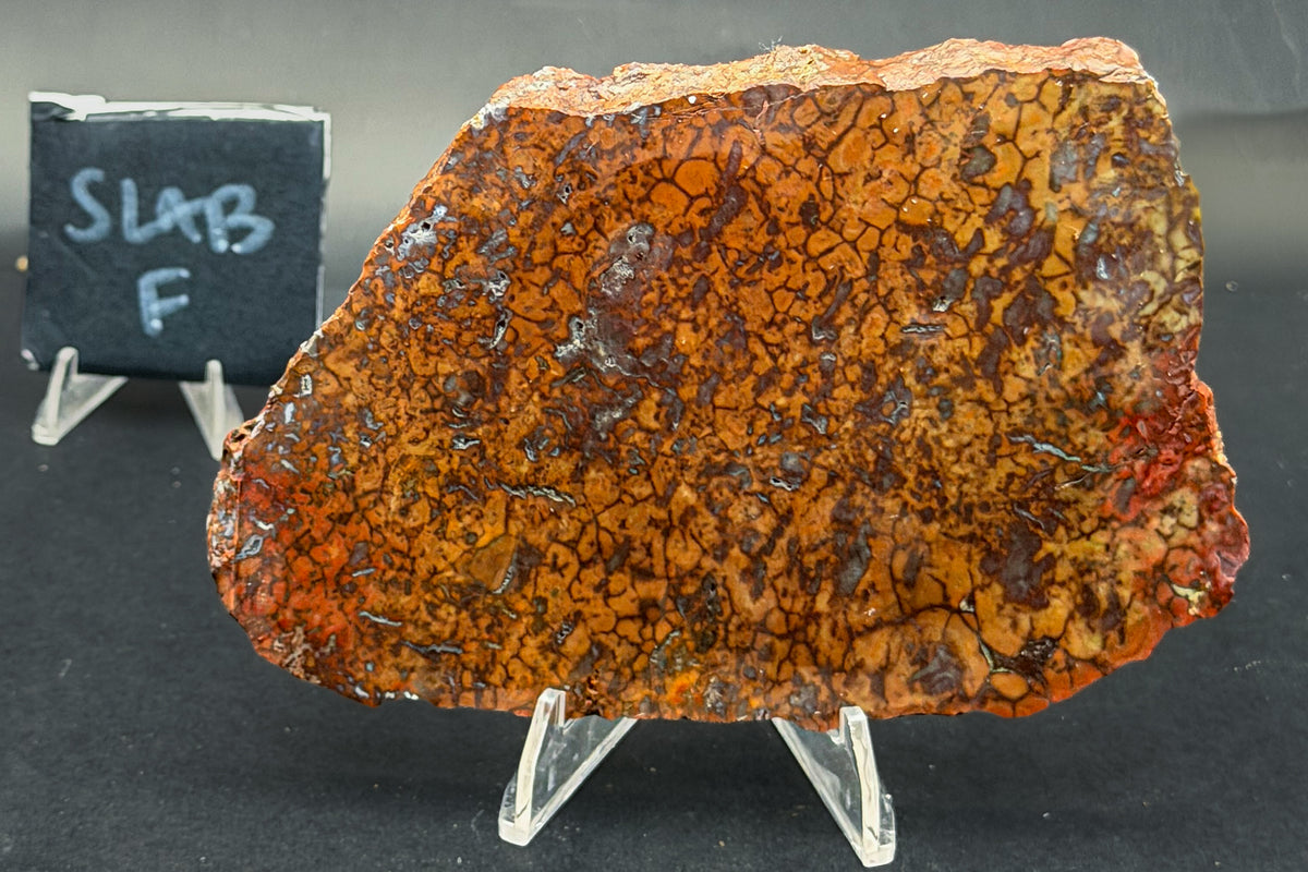 Spiderman Jasper Slabs (Unpolished)