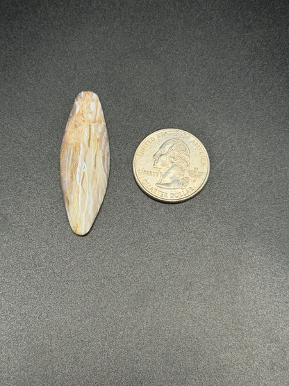Baskinite Jasper (Dead Camel Region) Cabochon