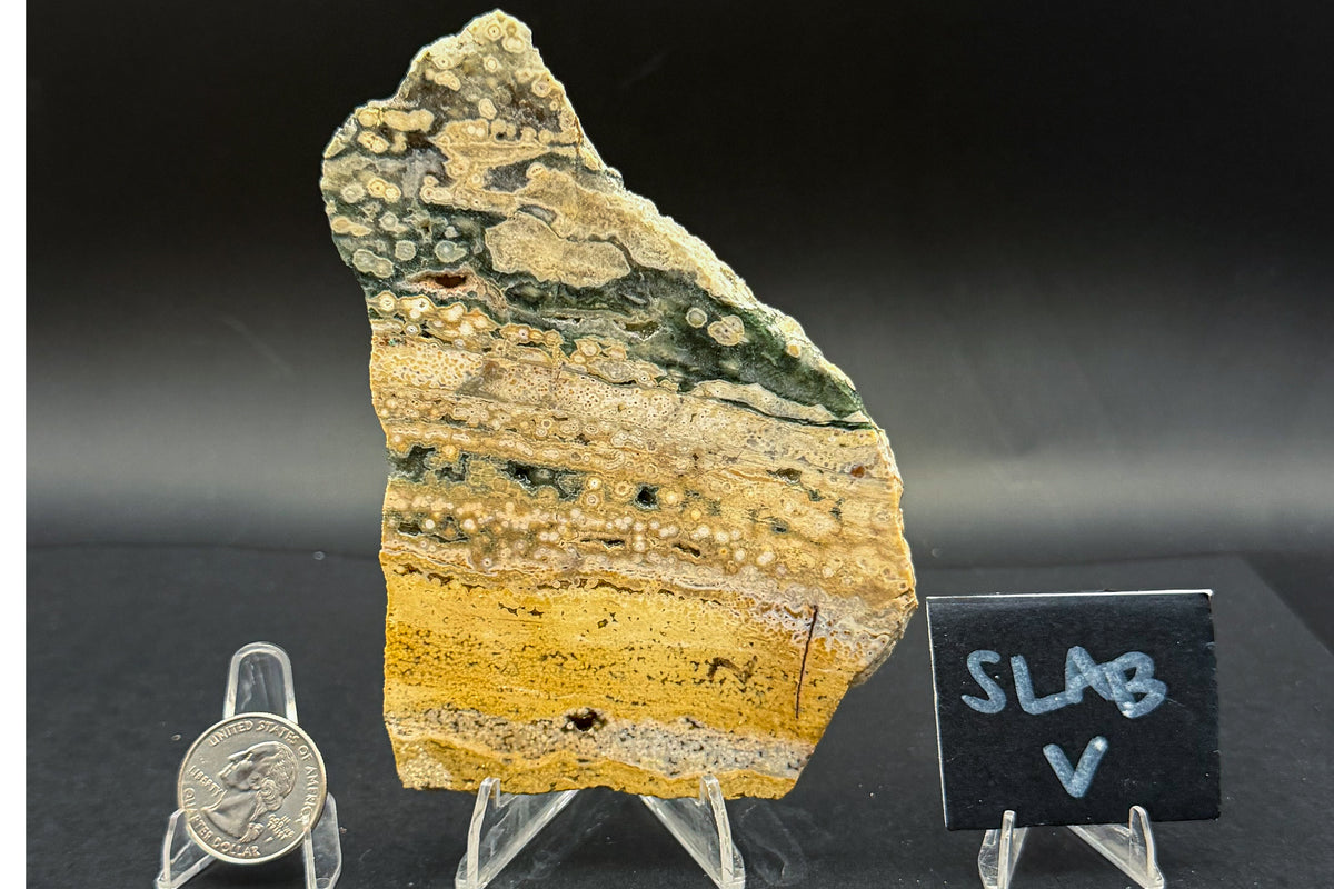 Ocean Jasper Slab (Unpolished)