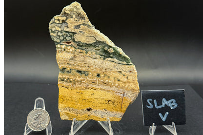 Ocean Jasper Slab (Unpolished)
