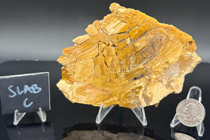 Howardite Jasper