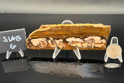 Outback Jasper (Unpolished)