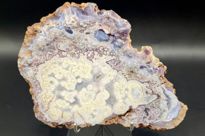 Mexican Luna Agate Slab - Premium Grade Old Stock (Polished)