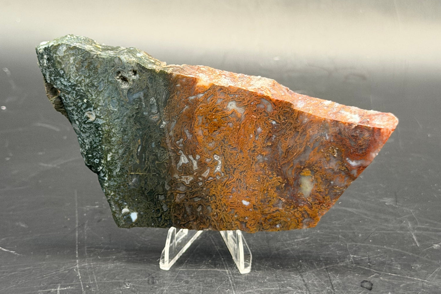 Maury Mountain Moss Agate (Unpolished) Slabs