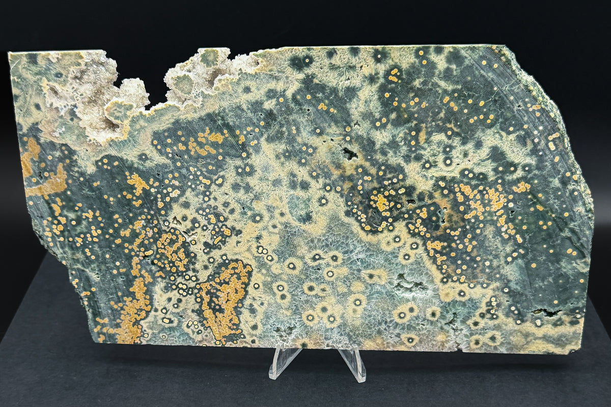 1st Vein Ocean Jasper (Unpolished)