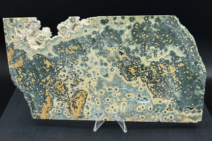 1st Vein Ocean Jasper (Unpolished)