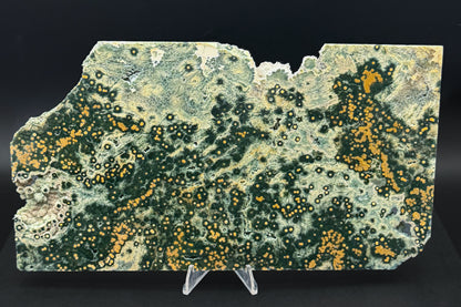 1st Vein Ocean Jasper (Unpolished)