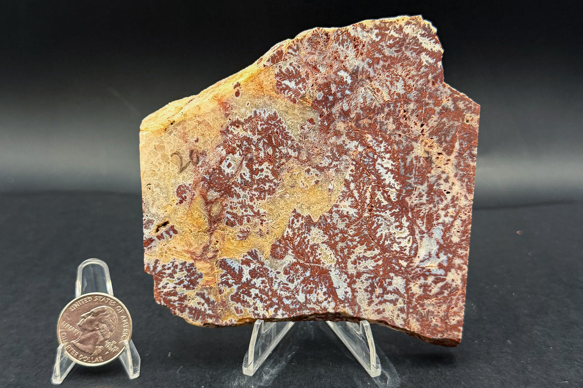 Paul Bunyan Agate (Unpolished)