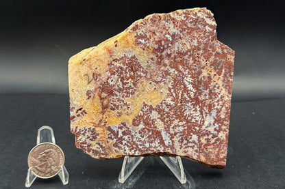 Paul Bunyan Agate (Unpolished)