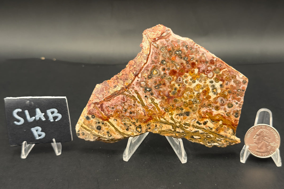 Leopard Skin Rhyolite (Unpolished)