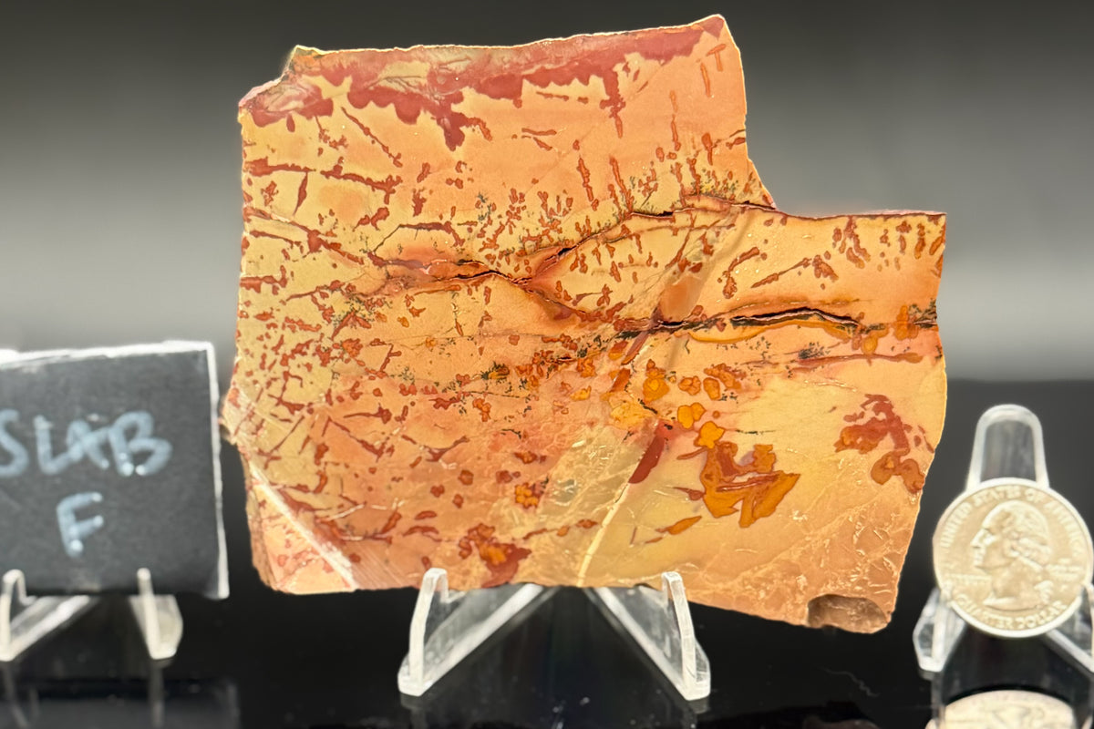 Owyhee Jasper (Unpolished)