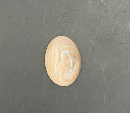 Badger Pocket Petrified Wood