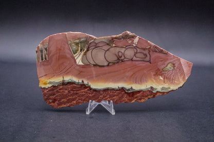 Willow Creek Jasper - Unpolished (AAA)