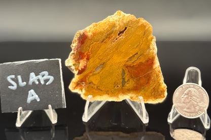 Indonesian Moss Agate (Unpolished)