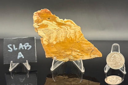 Howardite Jasper