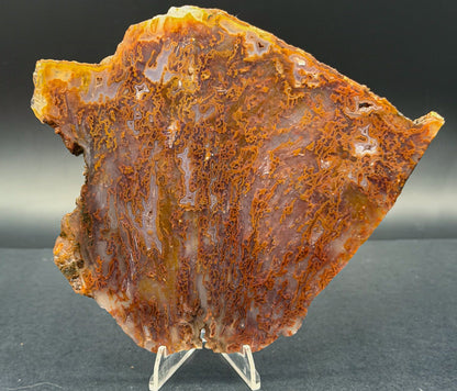 Bull Canyon Tube/Moss Agate (Unpolished)