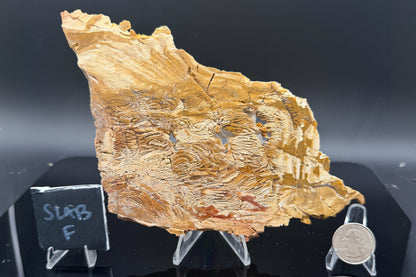 Howardite Jasper
