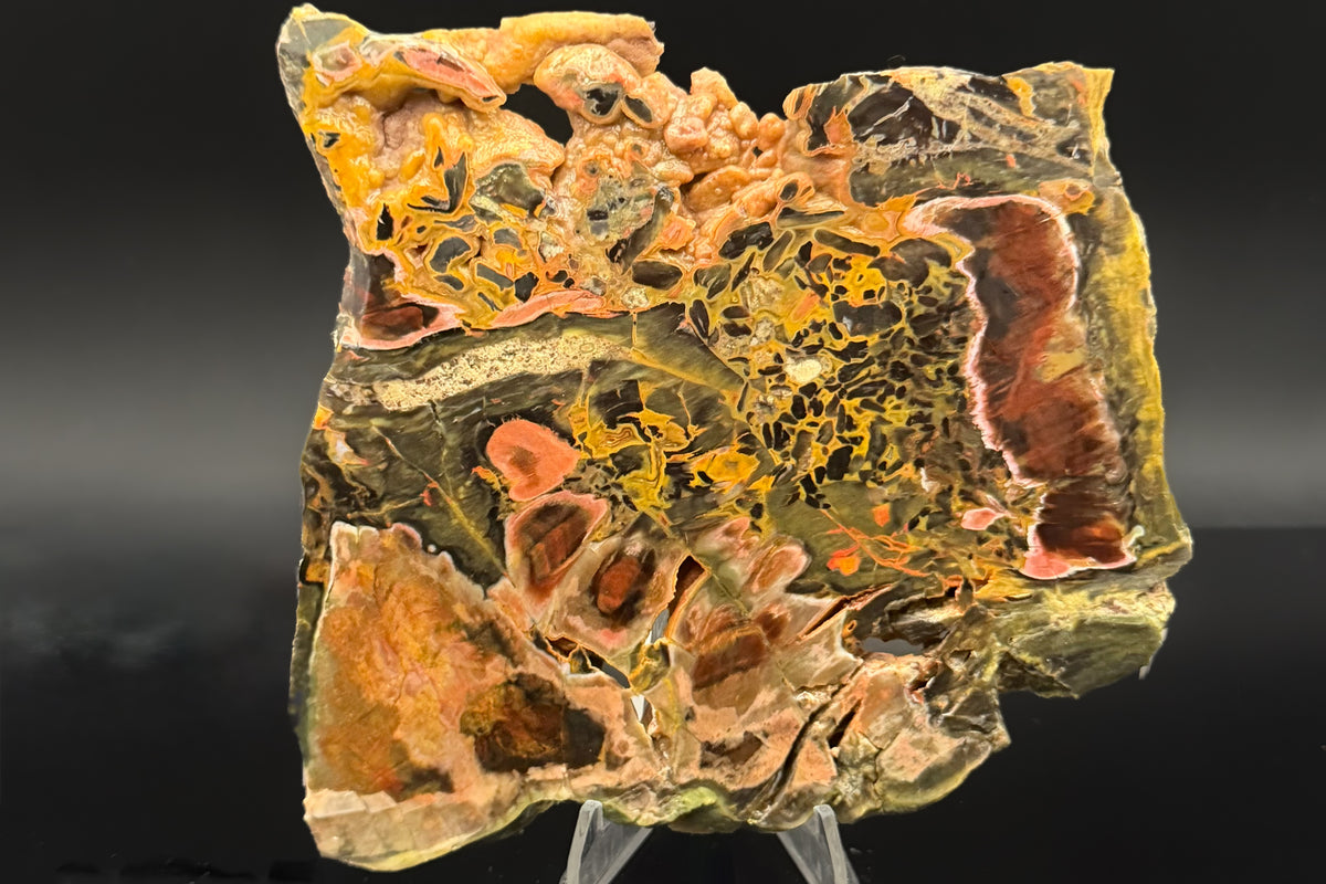 Turkish Petrified Wood (Unpolished)