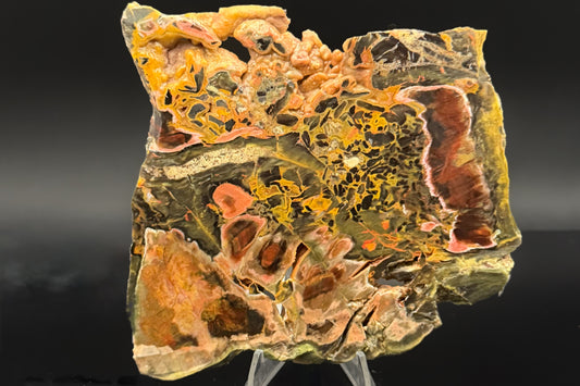 Turkish Petrified Wood (Unpolished)
