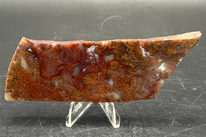Maury Mountain Moss Agate (Unpolished) Slabs